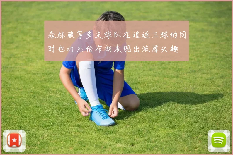 森林狼等多支球队在追逐三球的同时也对杰伦布朗表现出浓厚兴趣