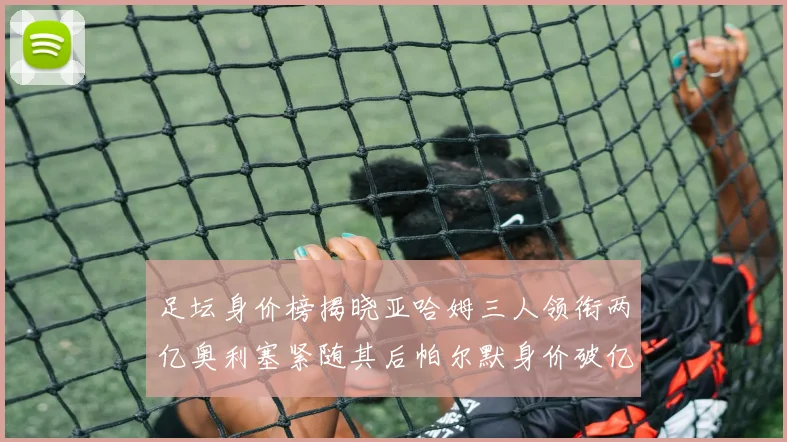 足坛身价榜揭晓亚哈姆三人领衔两亿奥利塞紧随其后帕尔默身价破亿